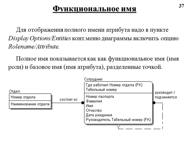 37 Функциональное имя Для отображения полного имени атрибута надо в пункте Display Options/Entities конт.меню